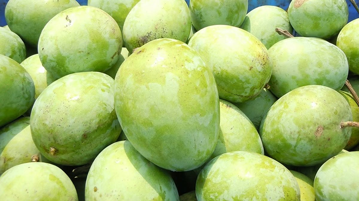 ল্যাংড়া আম